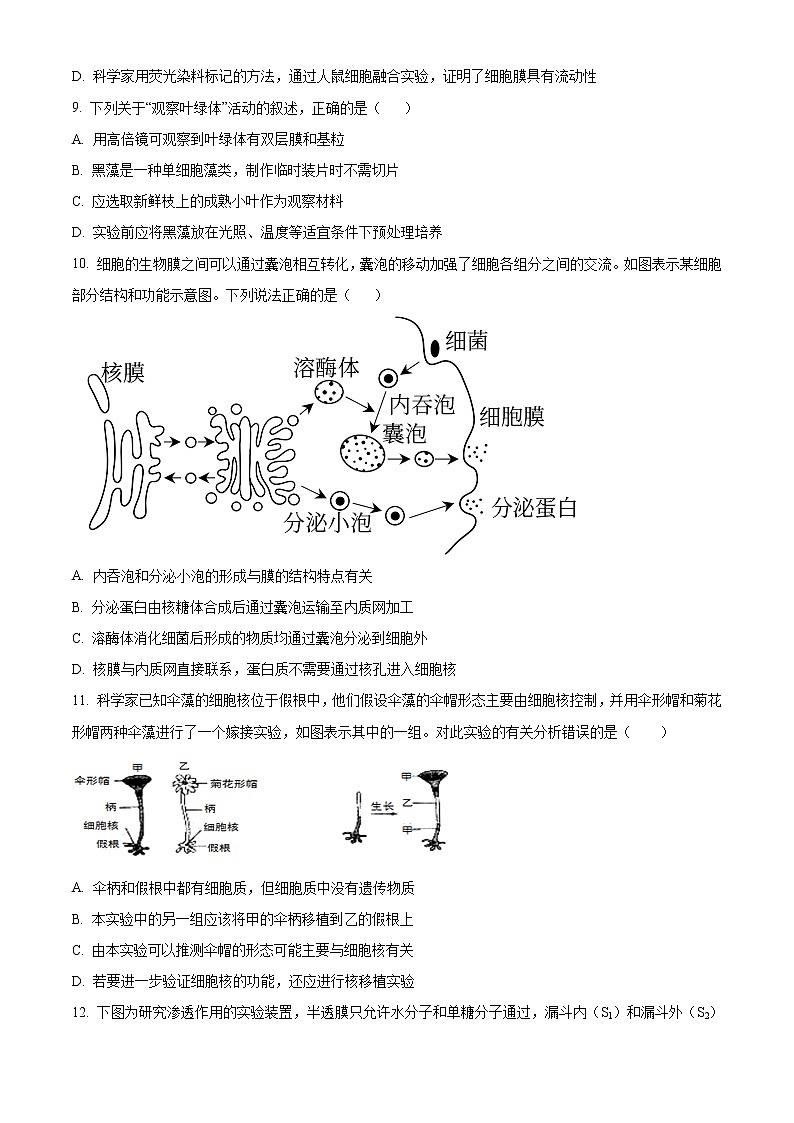 2022-2023学年重庆市长寿中学高三上学期半期考试 生物（解析版）03