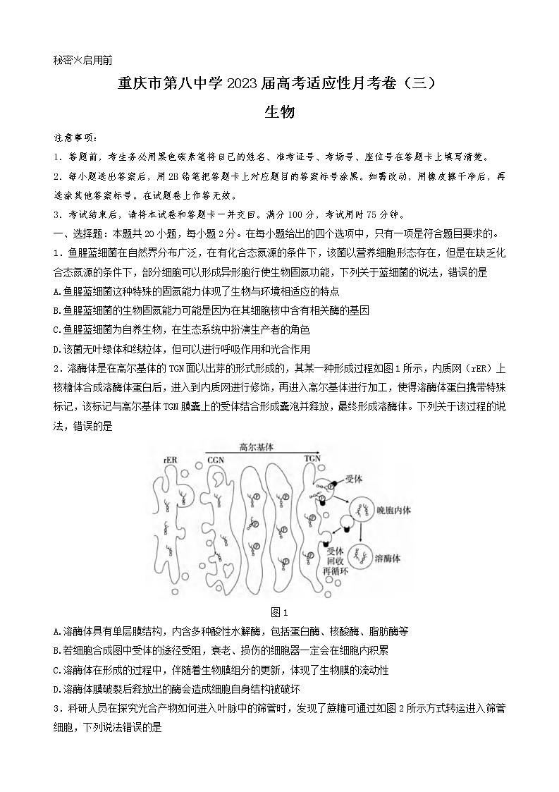2022-2023学年重庆市第八中学高三上学期高考适应性月考卷（三）生物试题01