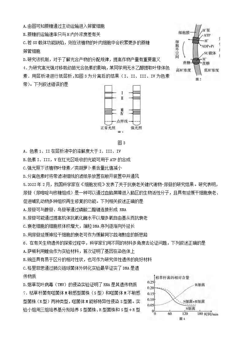 2022-2023学年重庆市第八中学高三上学期高考适应性月考卷（三）生物试题02