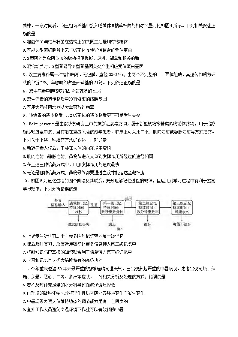 2022-2023学年重庆市第八中学高三上学期高考适应性月考卷（三）生物试题03