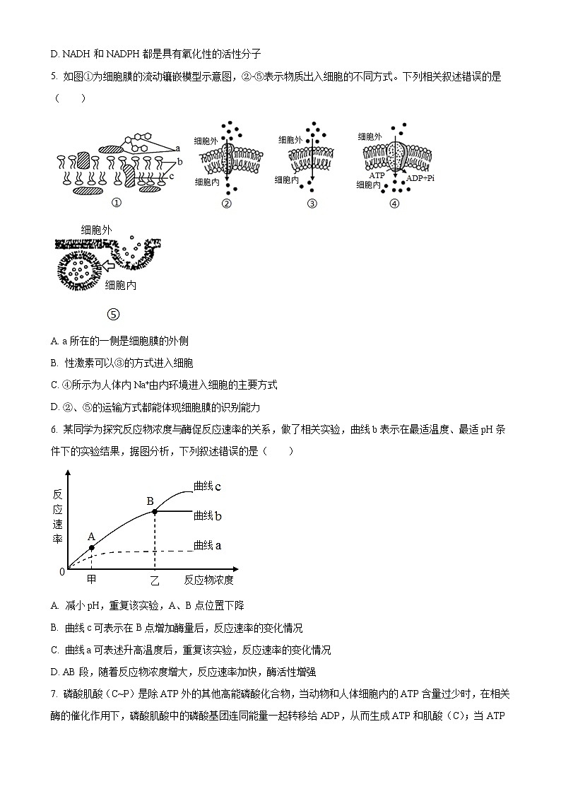 2022-2023学年重庆市南开中学高三上学期11月月考试题 生物（解析版）02