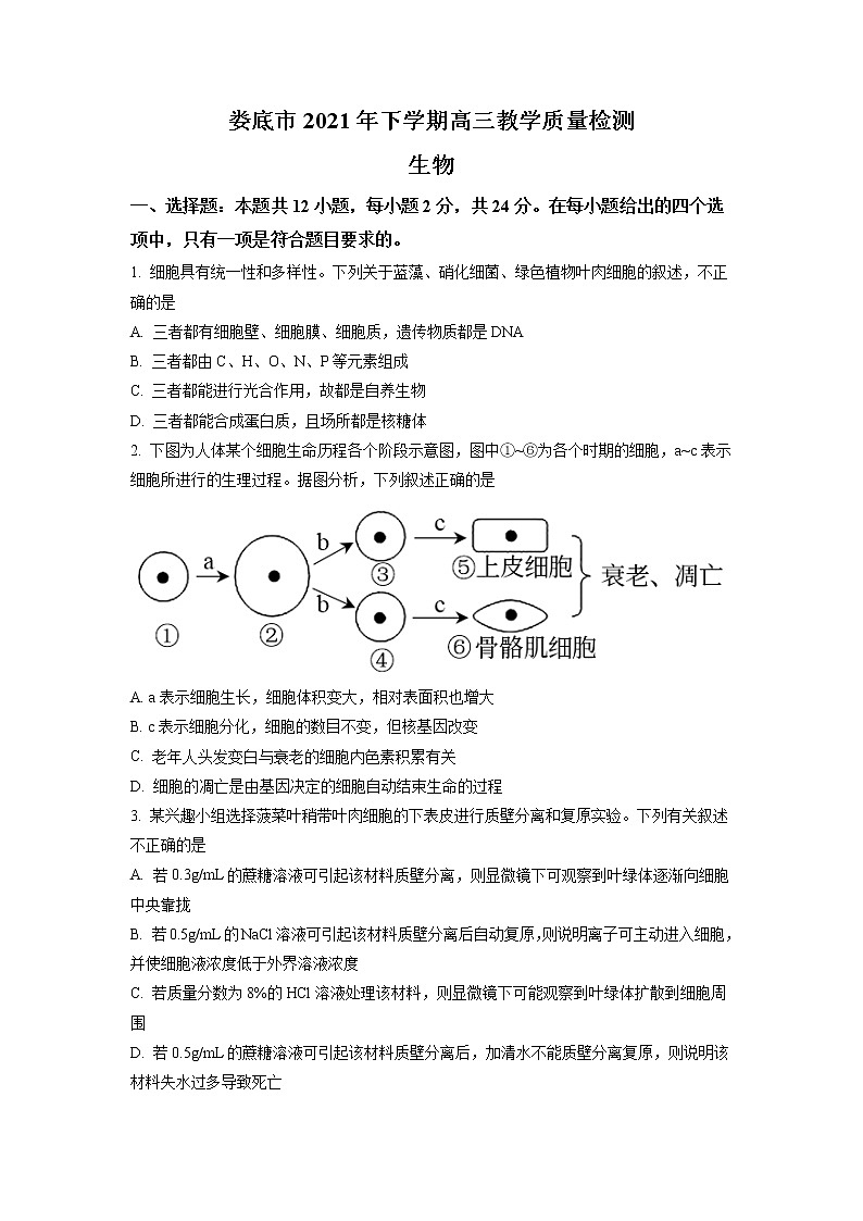 2022届湖南省娄底市高三上学期期末教学质量检测  生物第1页