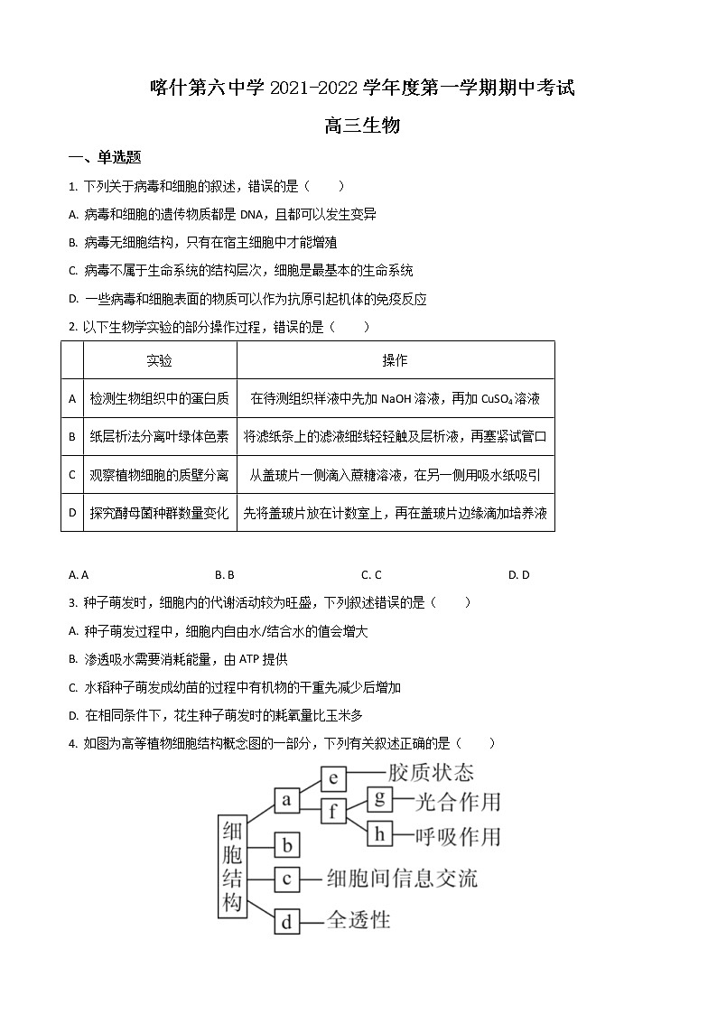 2022届新疆喀什市第六中学高三上学期期中考试生物试题（解析版）01