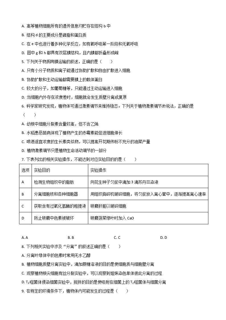 2022届新疆喀什市第六中学高三上学期期中考试生物试题（解析版）02