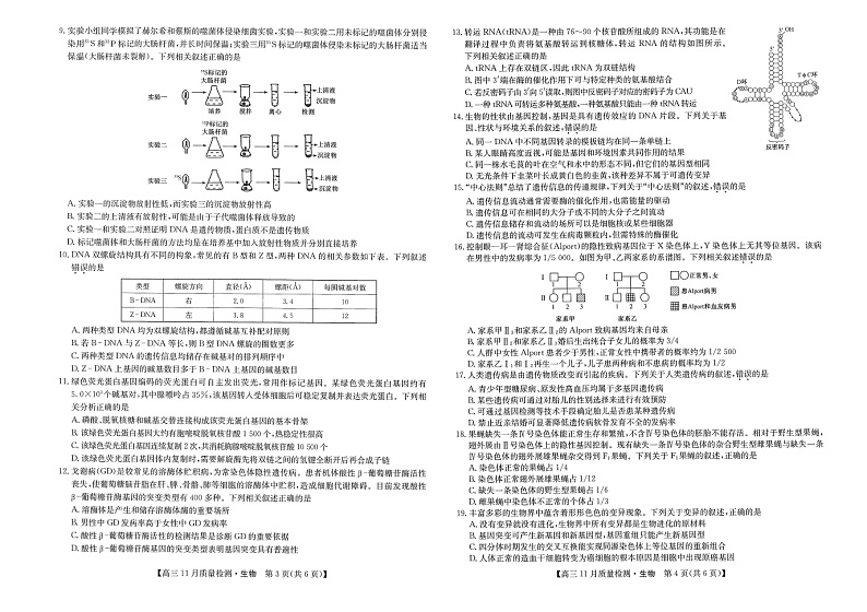 2023届安徽省九师联盟高三上学期11月质量检测（老高考）11.24-25生物试题 扫描版02