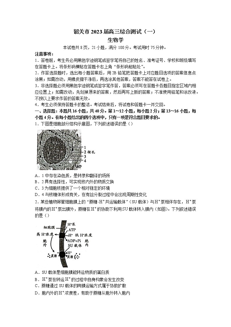 2023届广东省韶关市高三上学期综合测试（一）生物试题01