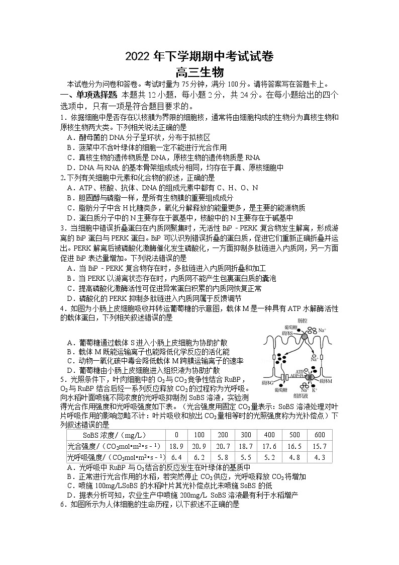 2023届湖南省邵阳市武冈市高三上学期期中考试生物试题第1页