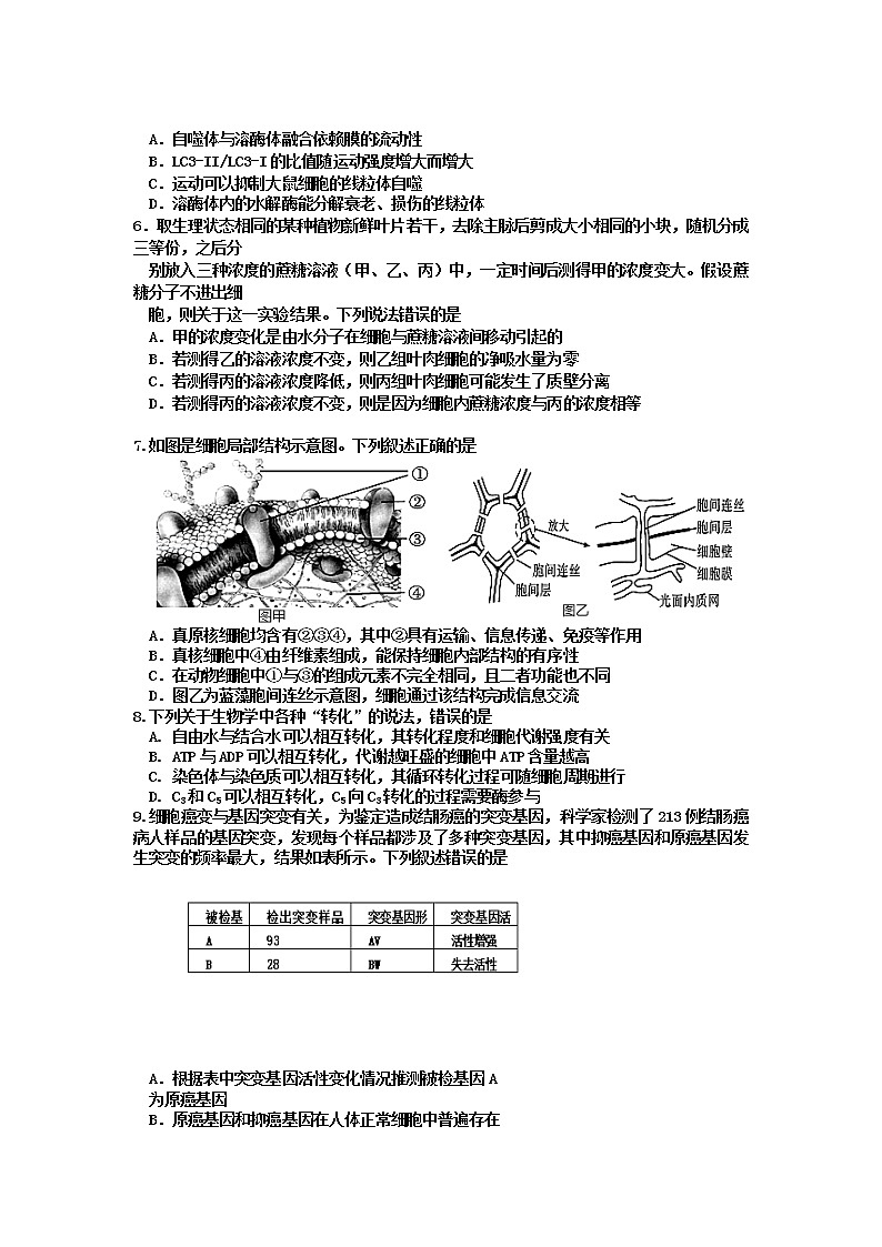 2023届内蒙古自治区鄂尔多斯市高三上学期阶段性测试生物试题02