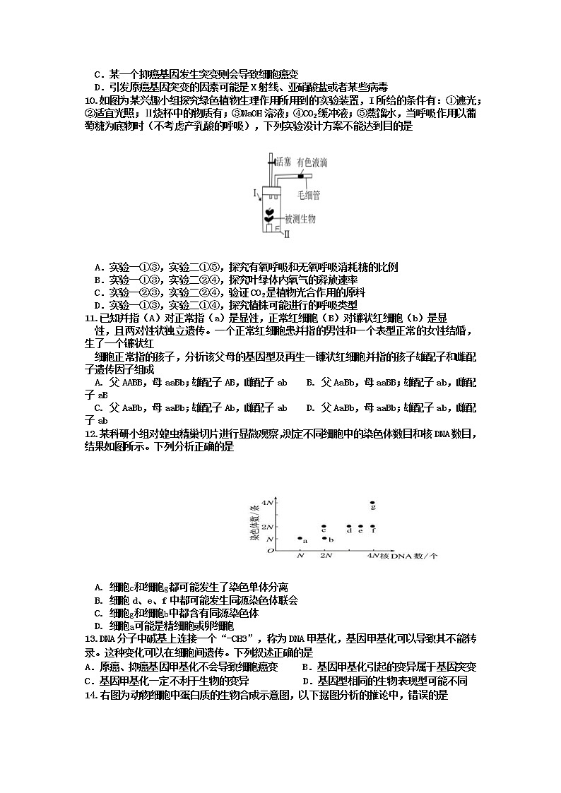 2023届内蒙古自治区鄂尔多斯市高三上学期阶段性测试生物试题03
