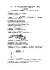 辽宁省辽西联合校2022-2023学年高三上学期期中生物试题