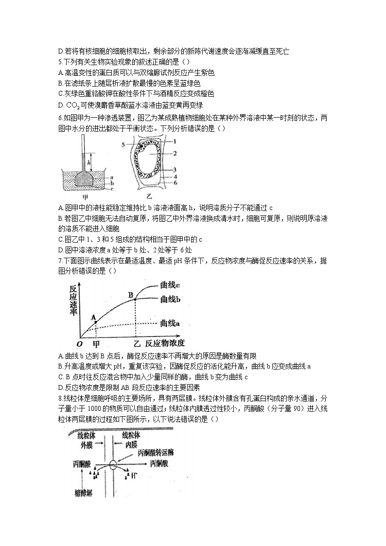 辽宁省辽西联合校2022-2023学年高三上学期期中生物试题02