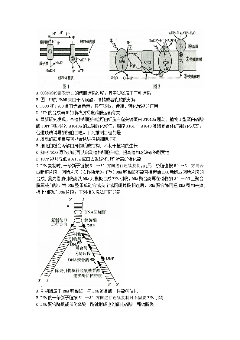 山东省济南市2022-2023学年高三上学期期中生物试题02