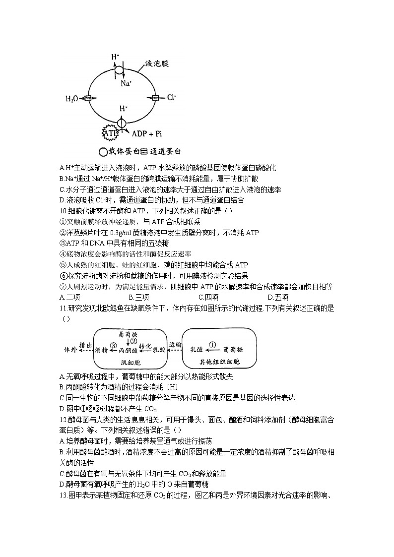 山西省吕梁市2022-2023学年高三上学期阶段性测试生物试题第3页