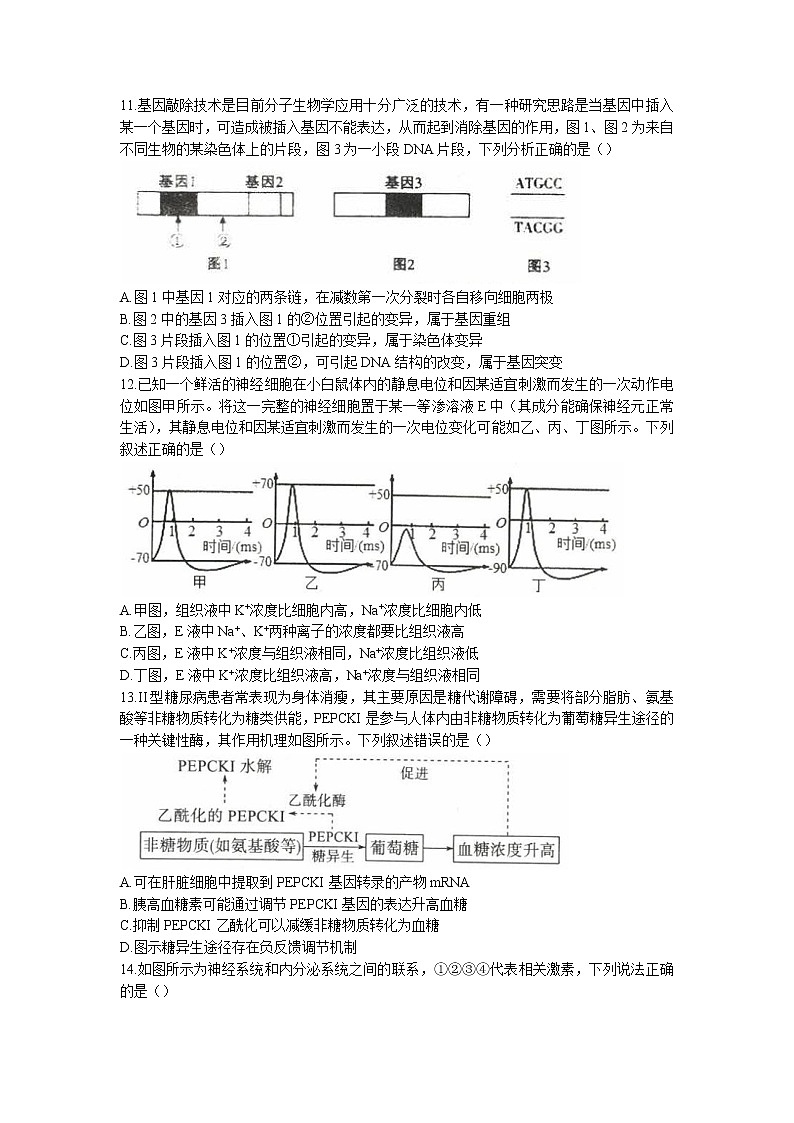 辽宁省实验中学2022-2023学年高三上学期期中生物试题第3页