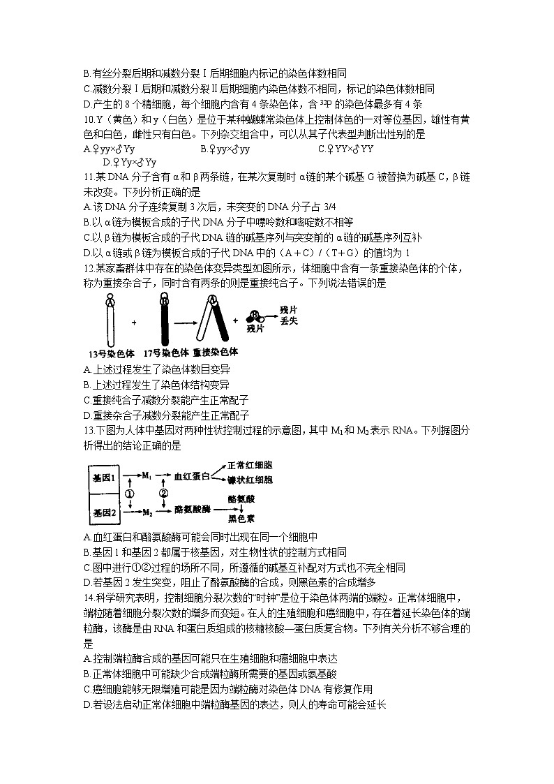 山东省济南市章丘区2022-2023学年高三上学期诊断性测试生物试题第3页