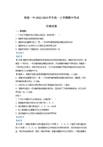 2022-2023学年山东省泰安市新泰市一中高一上学期期中生物试题（解析版）