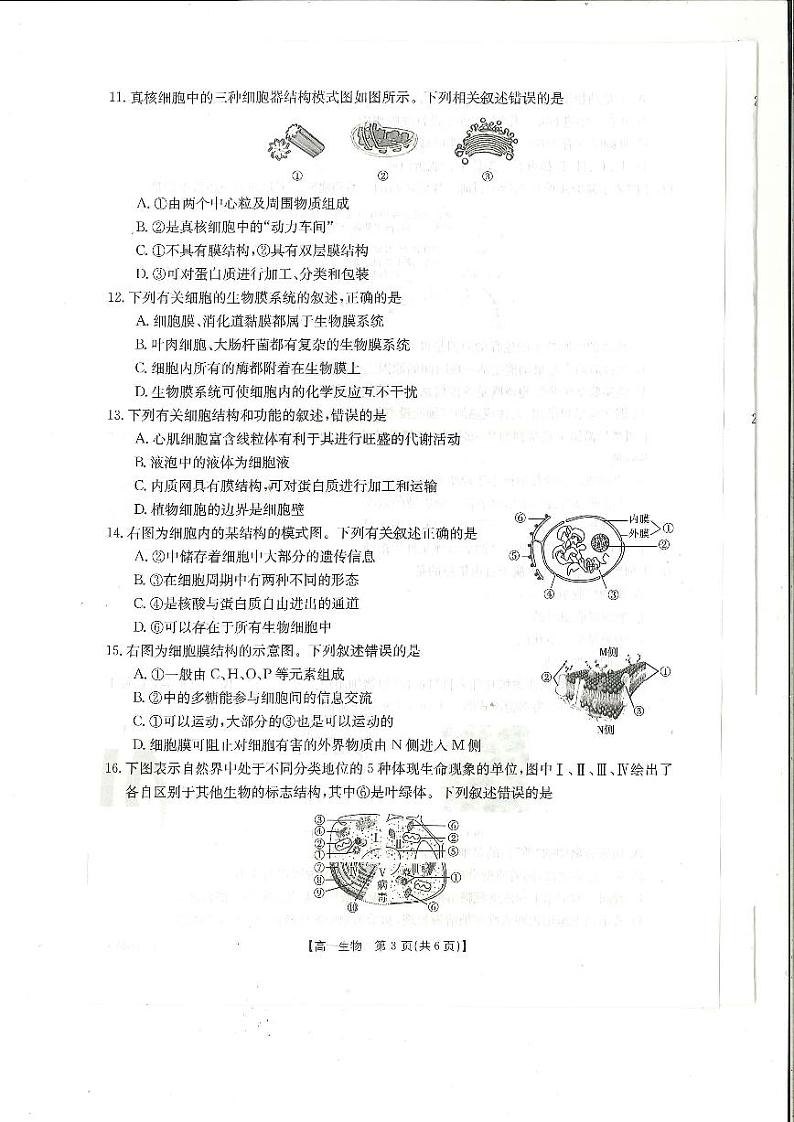 2022-2023学年山西省名校高一上学期期中联合考试生物试题PDF版第3页