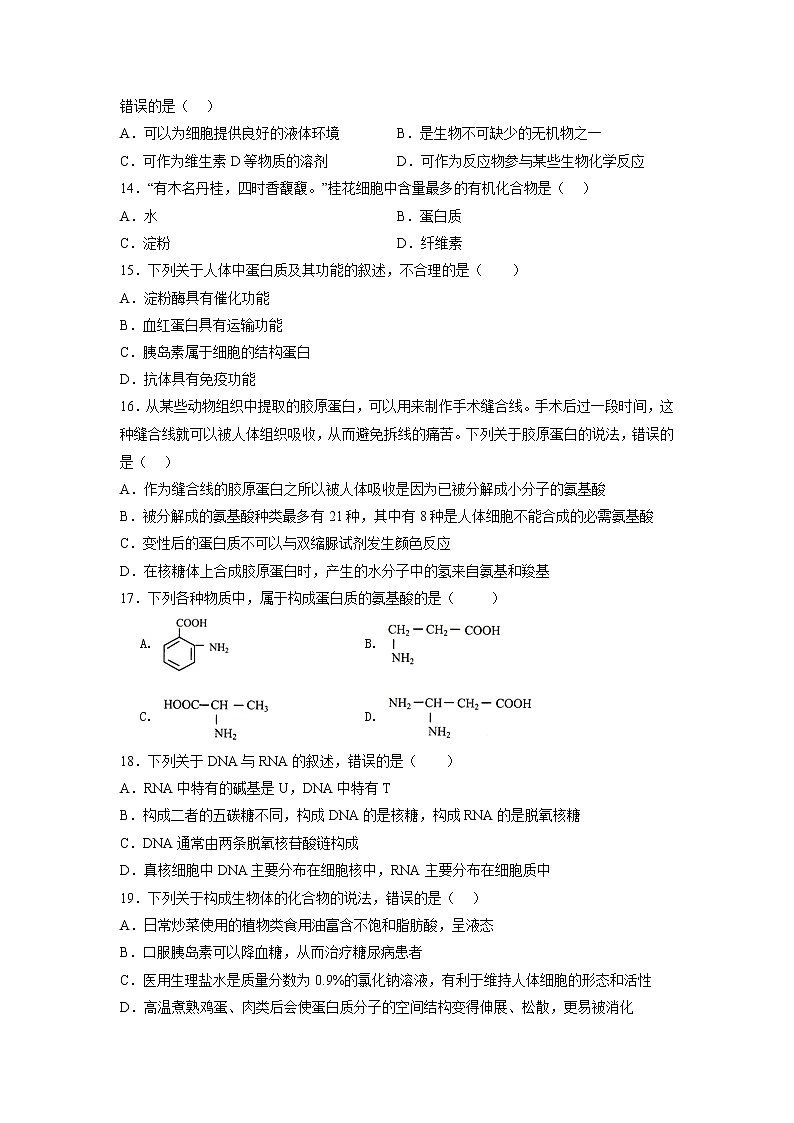 2022-2023学年天津市实验中学滨海学校高一上学期期中质量调查生物试题03