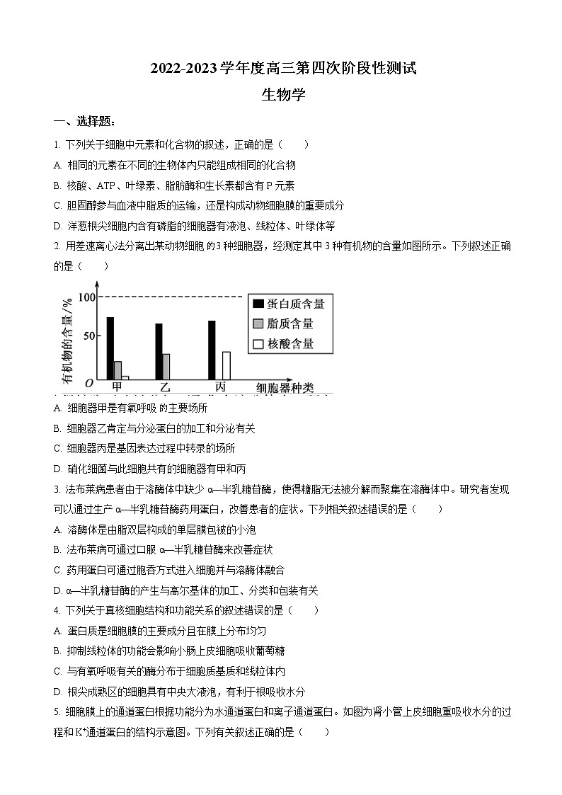 2022-2023学年黑龙江省牡丹江市阳明区高三上学期第四次阶段考试 物（word版）第1页