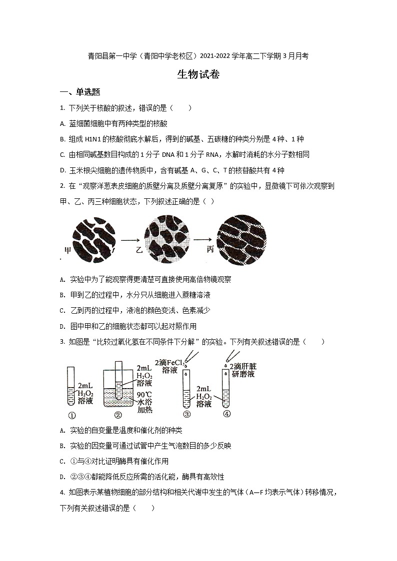 2021-2022学年安徽省青阳县第一中学（青阳中学老校区）高二下学期3月月考生物试题（Word版）01