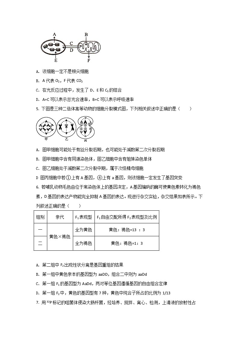 2021-2022学年安徽省青阳县第一中学（青阳中学老校区）高二下学期3月月考生物试题（Word版）02