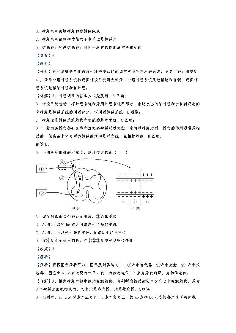 2021-2022学年北京市房山区高二上学期期中生物试题（解析版）03