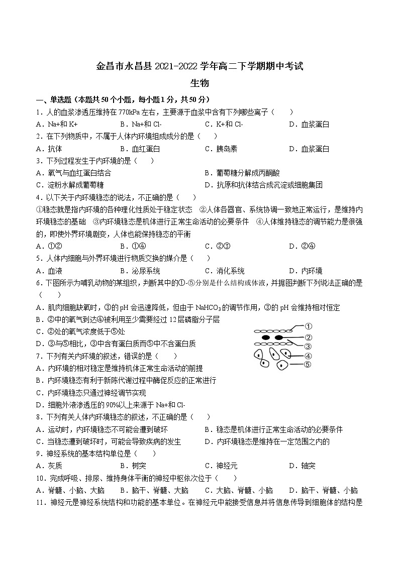 2021-2022学年甘肃省金昌市永昌县高二下学期期中考试生物试题（Word版）01