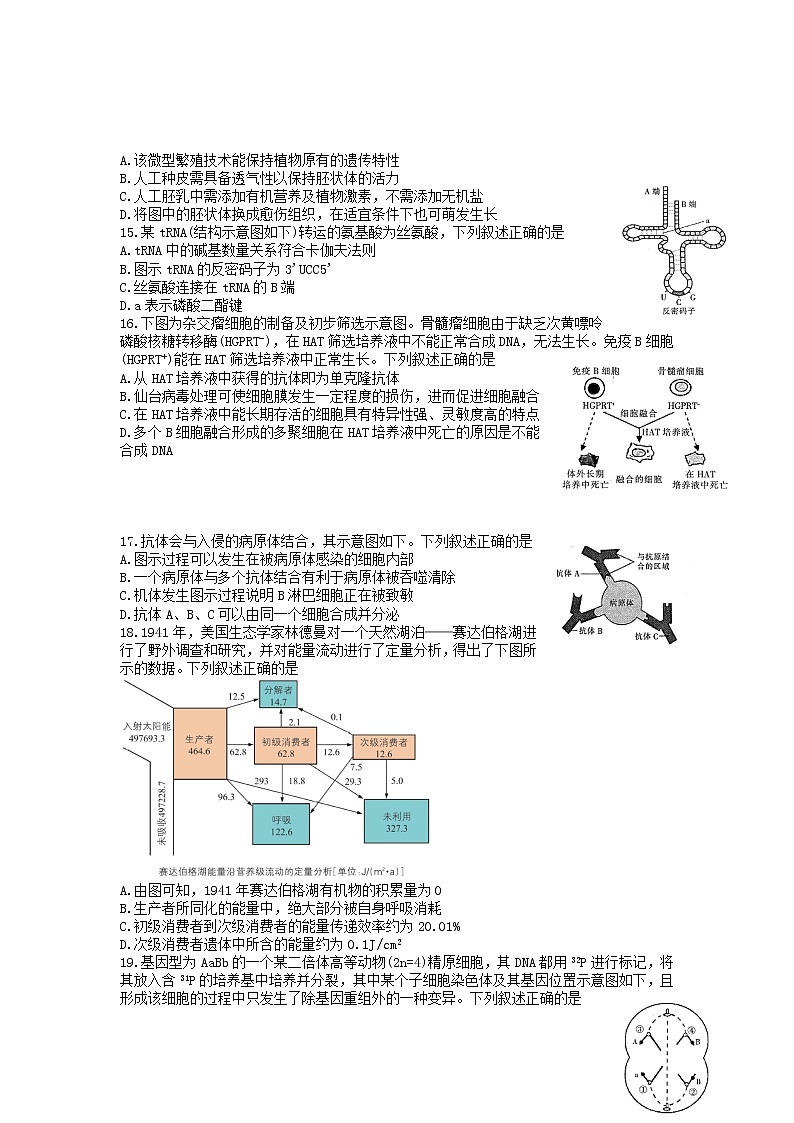浙江省金华十校2022-2023学年高三上模拟考试生物试卷03