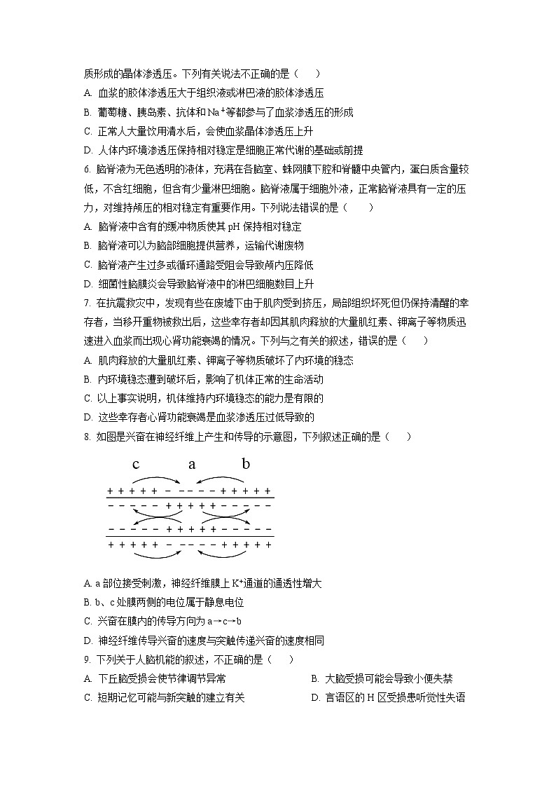 2023日照国开中学高二上学期10月月考生物试题含解析02