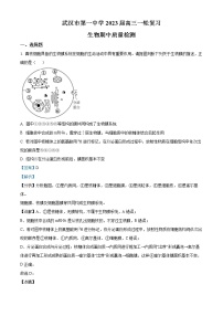 2022-2023学年湖北省武汉市一中高三上一轮复习期中质量检测生物试题（解析版）