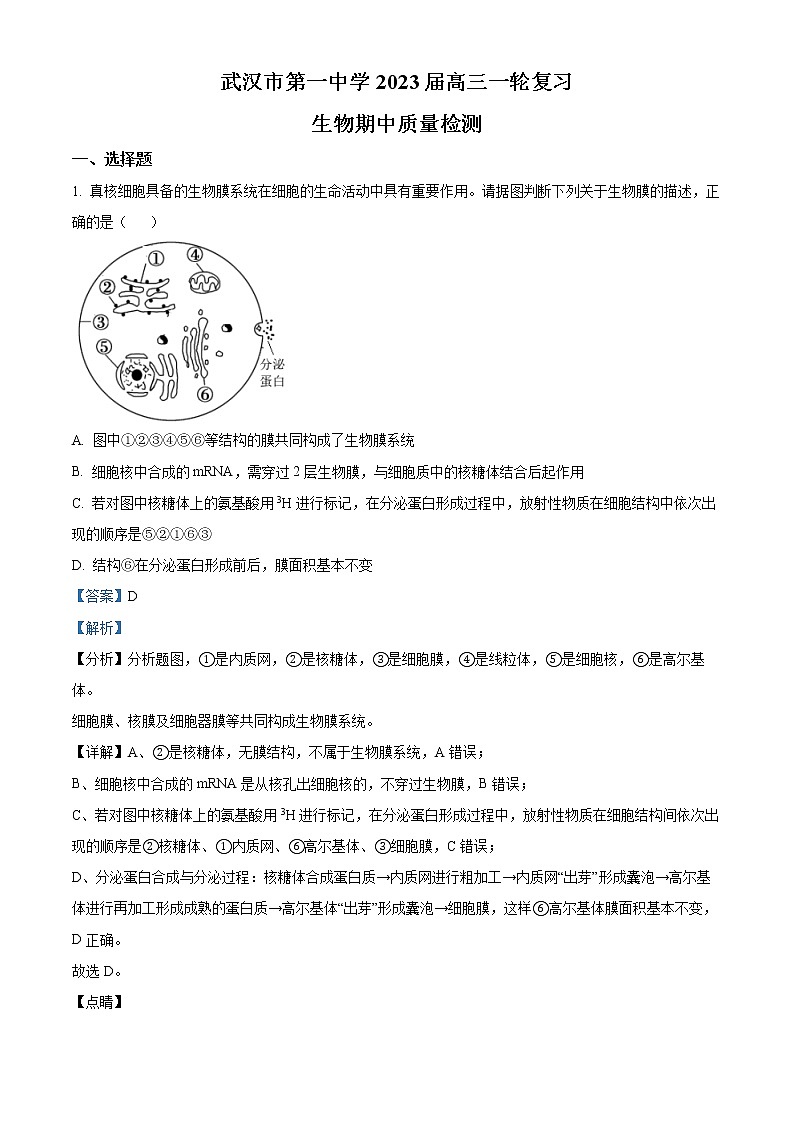 2022-2023学年湖北省武汉市一中高三上一轮复习期中质量检测生物试题（解析版）01