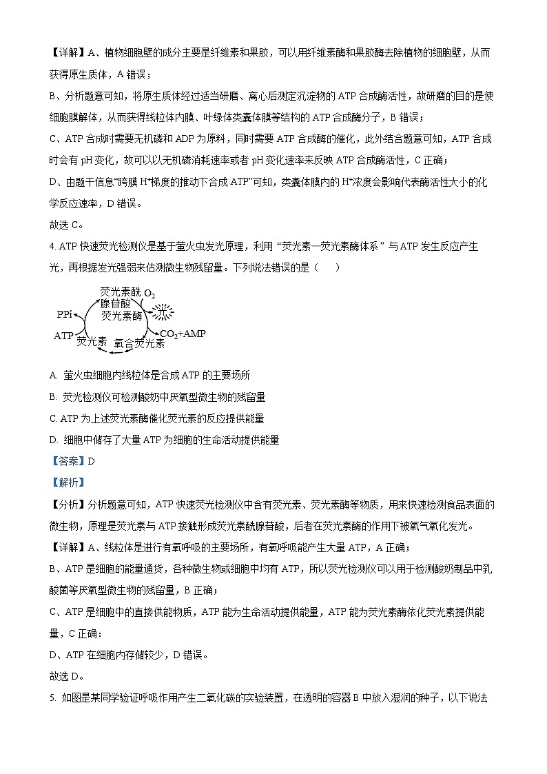 2022-2023学年湖北省武汉市一中高三上一轮复习期中质量检测生物试题（解析版）03