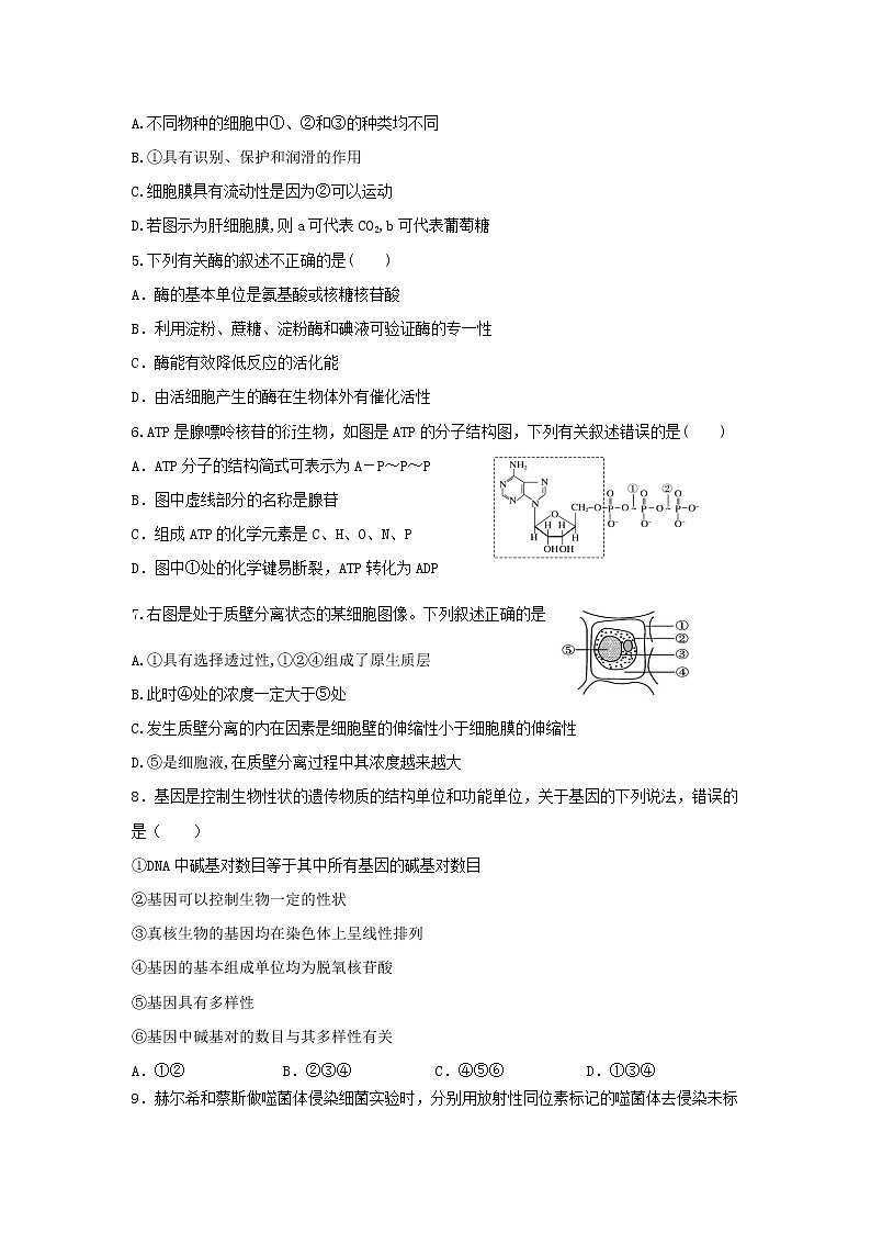 2021-2022学年吉林省通化市梅河口五中等几校高二下学期期末联考生物试题（Word版）02