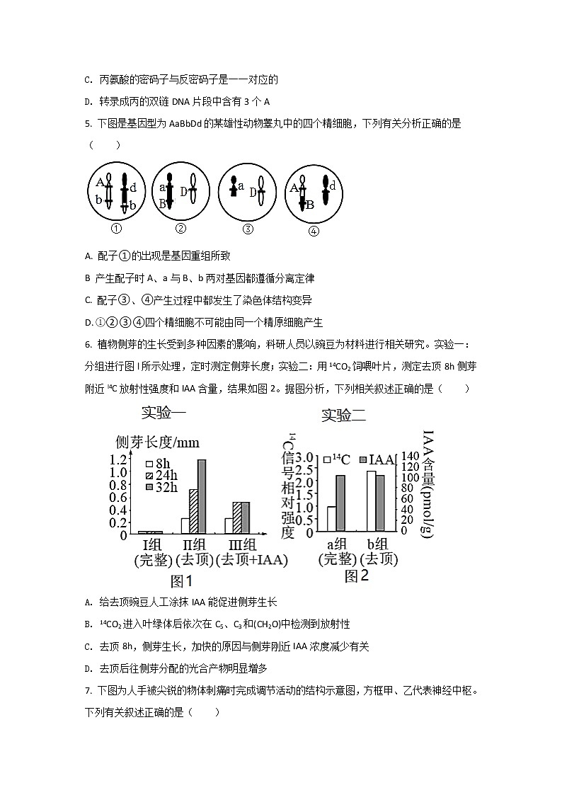2021-2022学年江苏省海门中学高二上学期期末质量调研生物试题（Word版）第2页