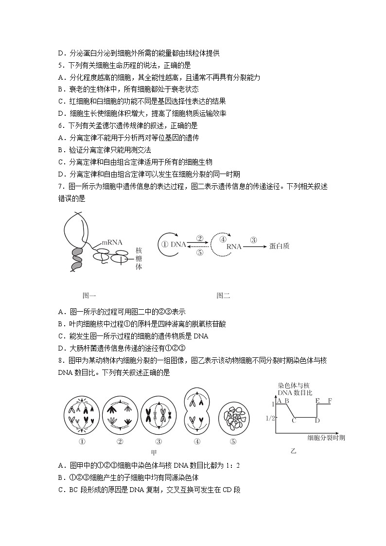2021-2022学年江西省南昌市第二中学等名校高二下学期3月联考生物试题（Word版）第2页