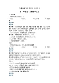 浙江省宁波市效实中学2022-2023学年高一生物上学期期中考试试题（Word版附解析）