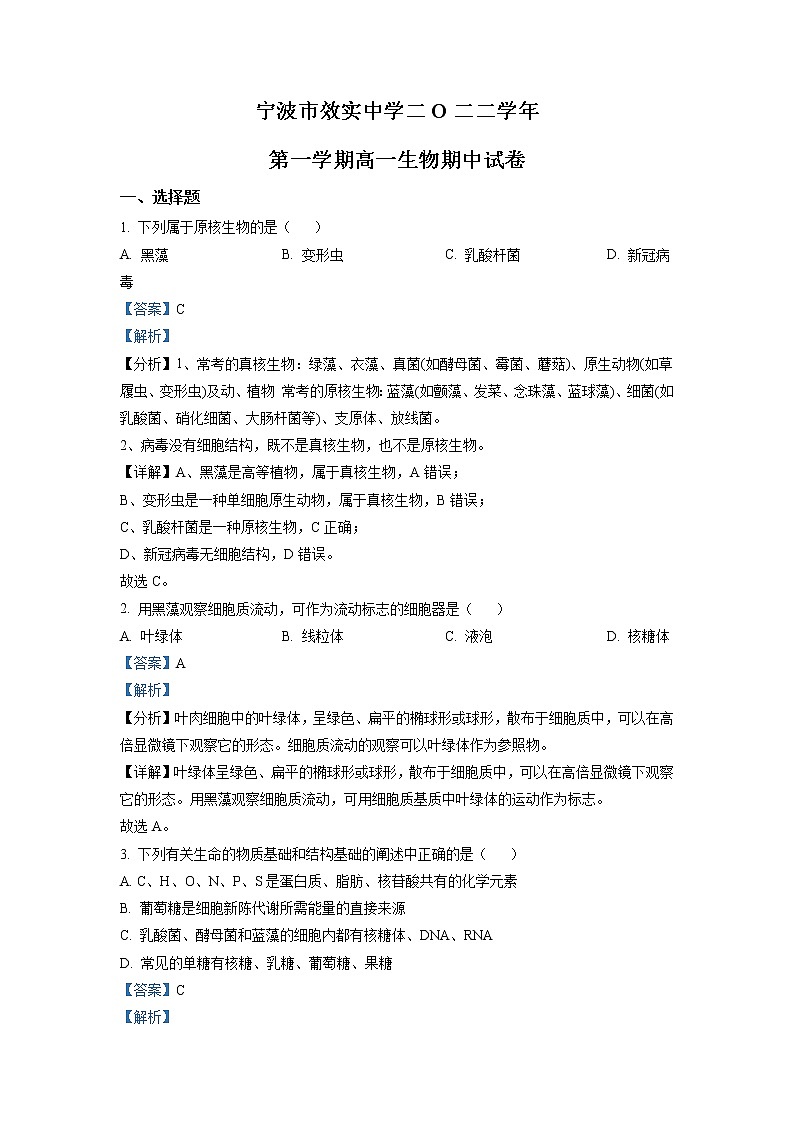 浙江省宁波市效实中学2022-2023学年高一生物上学期期中考试试题（Word版附解析）01