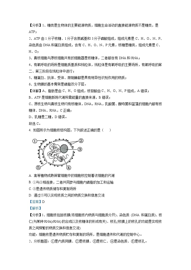 浙江省宁波市效实中学2022-2023学年高一生物上学期期中考试试题（Word版附解析）02