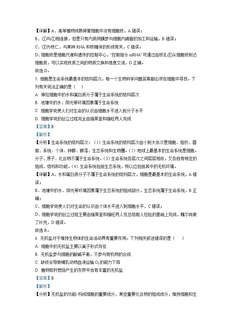 浙江省宁波市效实中学2022-2023学年高一生物上学期期中考试试题（Word版附解析）03