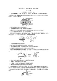 山东省潍坊市四校2021-2022学年高二生物上学期12月联考试卷（Word版附答案）