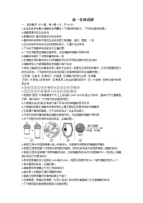 2022-2023学年安徽省马鞍山市二中高一上学期期中生物试题