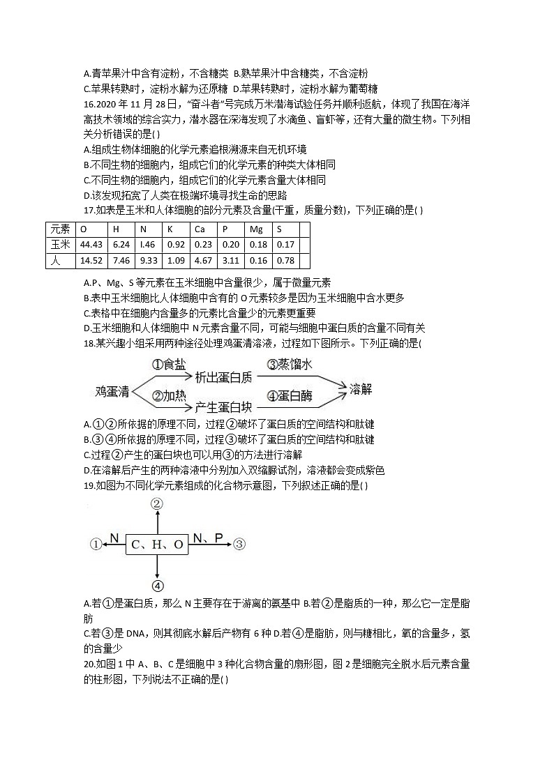 2022-2023学年安徽省马鞍山市二中高一上学期期中生物试题03