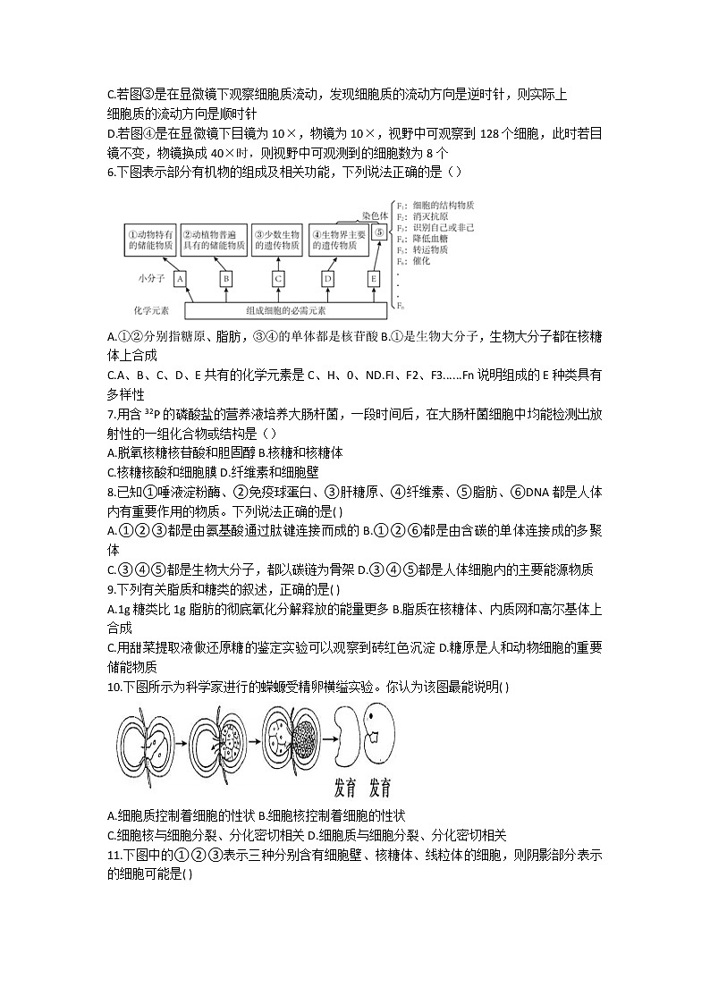 2022-2023学年福建省福州市八县（市）一中高一上学期期中联考生物试题02