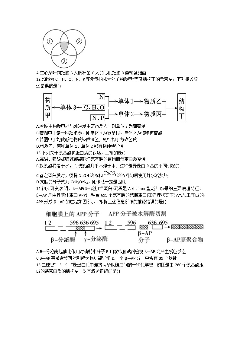 2022-2023学年福建省福州市八县（市）一中高一上学期期中联考生物试题03