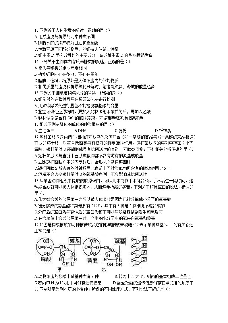 2022-2023学年福建省宁德市一中高一上学期期中模拟生物试题第3页