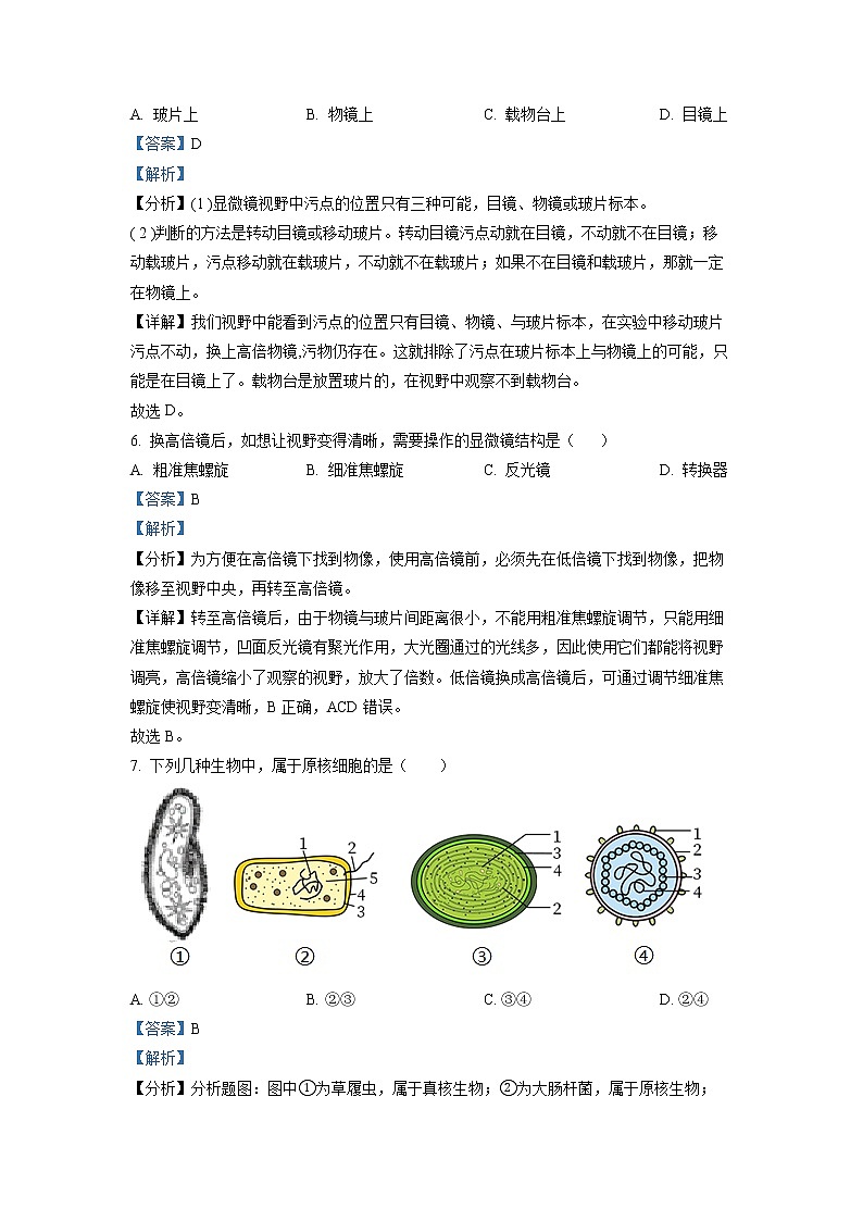 2022-2023学年广东省北京师范大学珠海分校附属外国语学校高一上学期期中生物试题（解析版）03