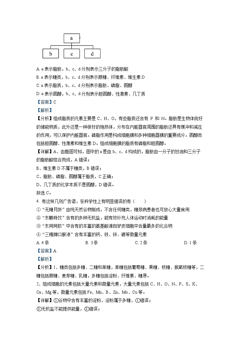2022-2023学年广东省揭阳市惠来县一中高一上学期期中生物试题（解析版）第2页