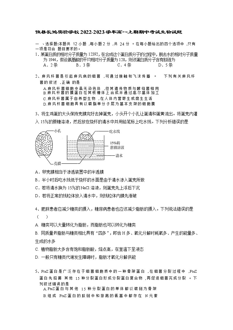 2022-2023学年湖南省攸县长鸿实验学校高一上学期期中考试生物试题01