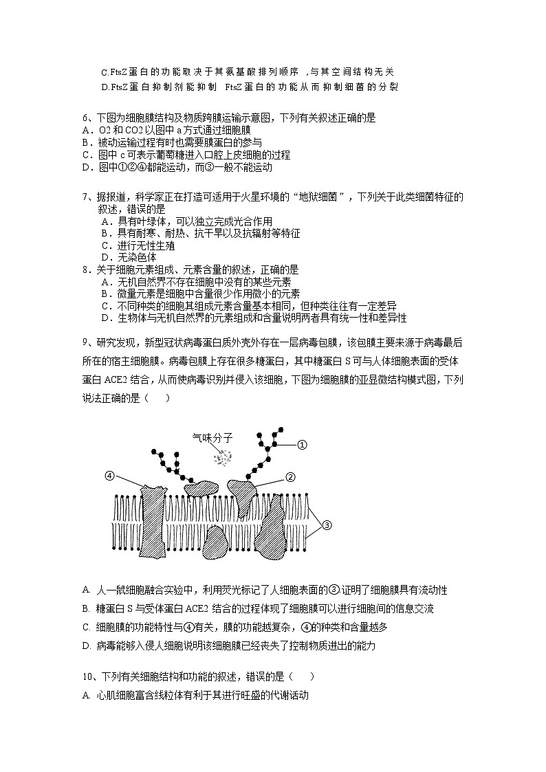 2022-2023学年湖南省攸县长鸿实验学校高一上学期期中考试生物试题02
