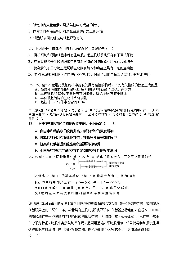 2022-2023学年湖南省攸县长鸿实验学校高一上学期期中考试生物试题03